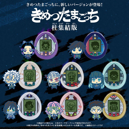 KNY Virtual Pets