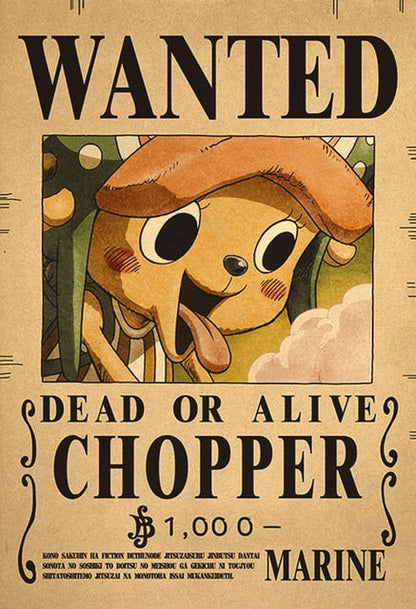 One Piece Wanted Posters