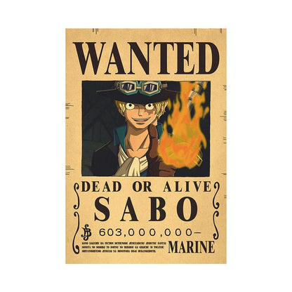 One Piece Wanted Posters